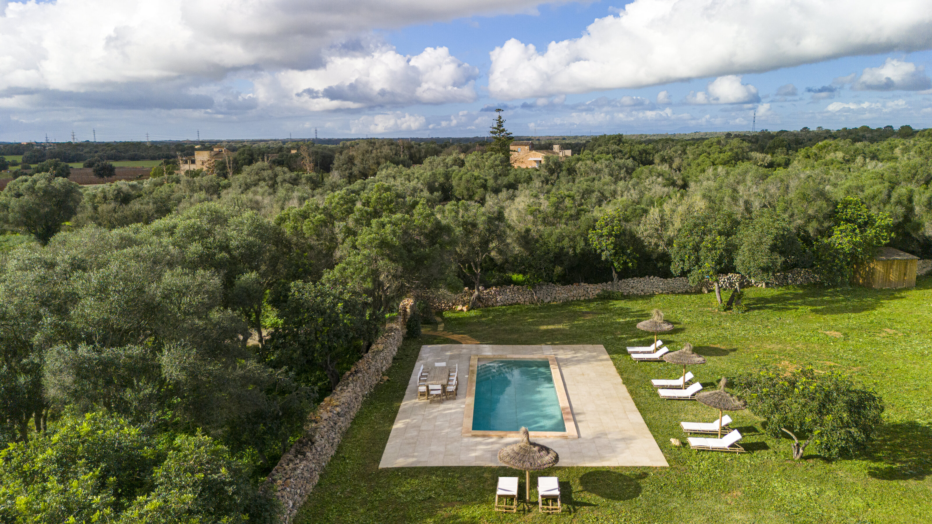 A turquoise pool surrounded by olive trees, stone walls and sun loungers
