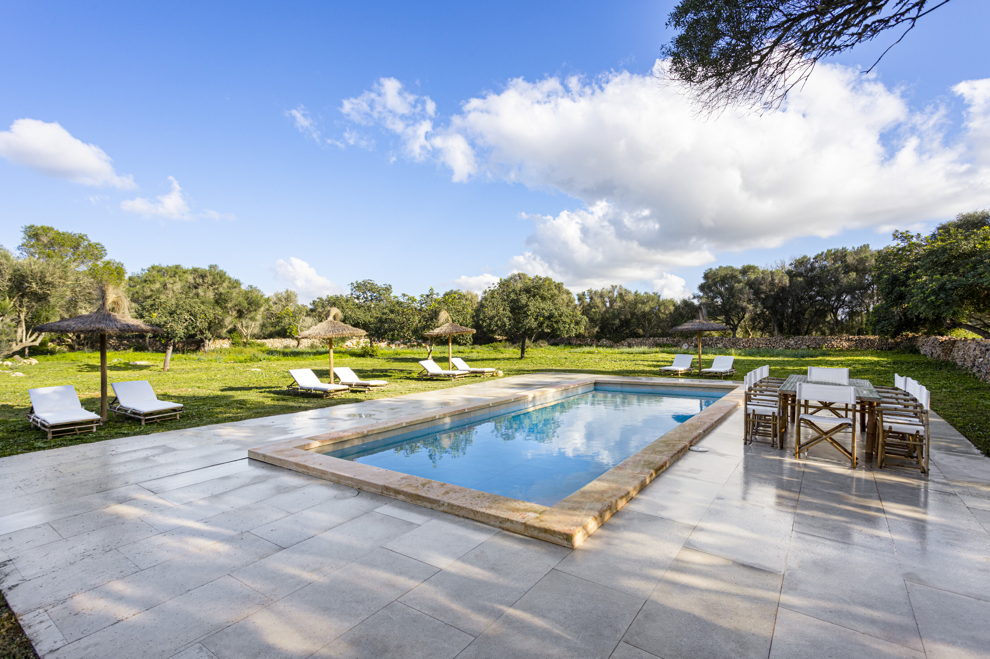 Sunlight across the swimming pool and stone terrace, with straw parasols and olive trees beyond